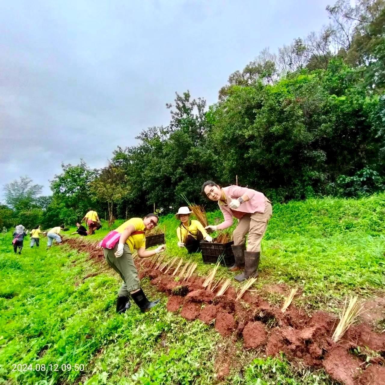 ภาพประกอบที่ 4