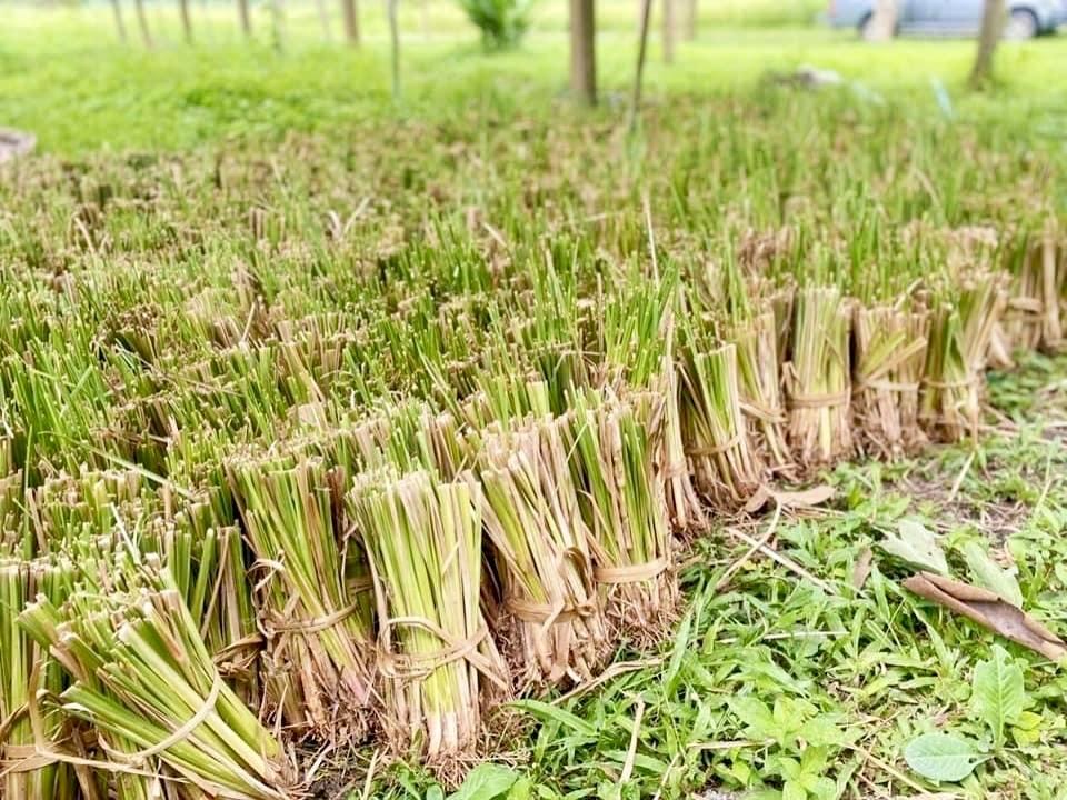 ภาพประกอบที่ 5