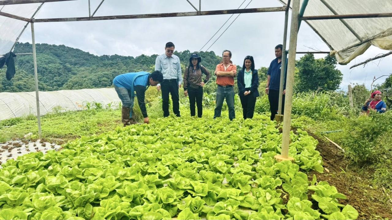 ภาพประกอบที่ 7