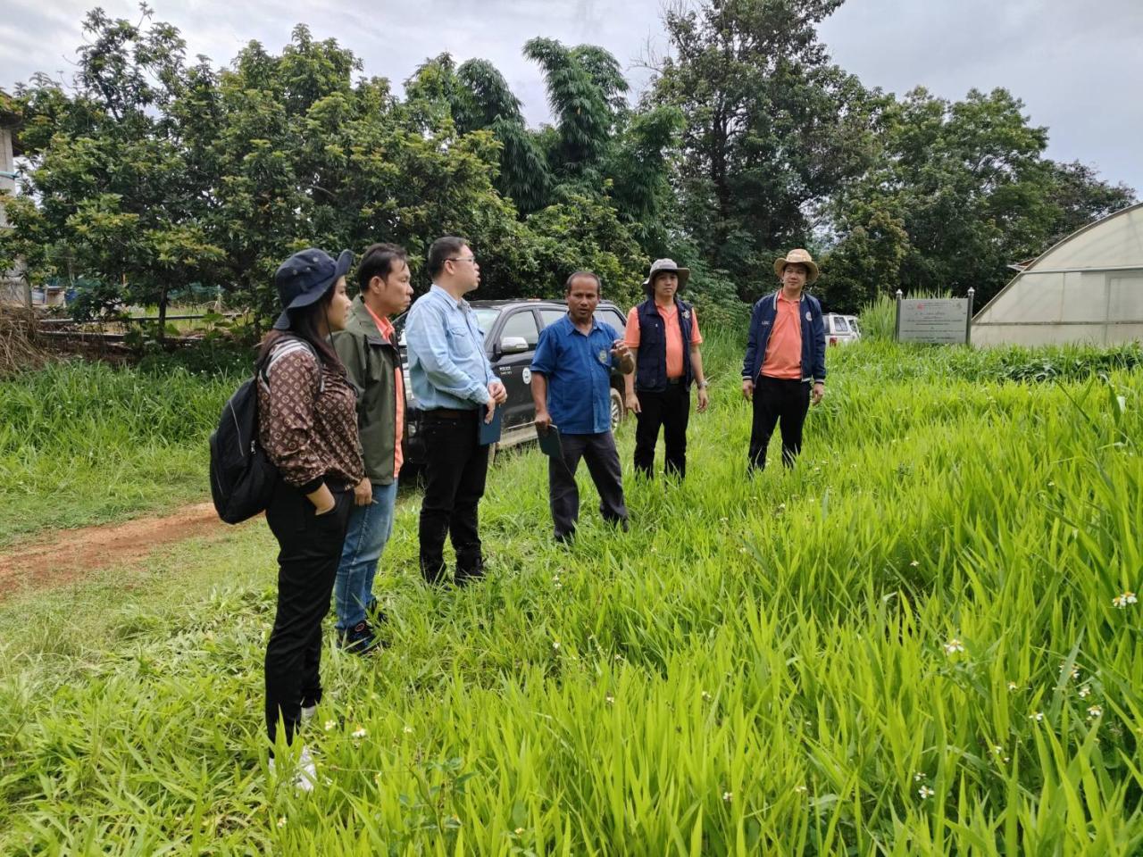 ภาพประกอบที่ 4