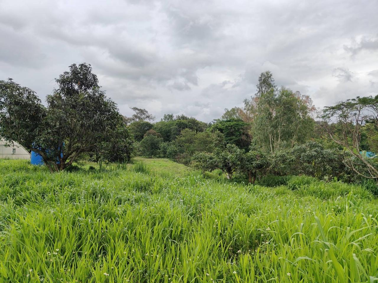 ภาพประกอบที่ 6