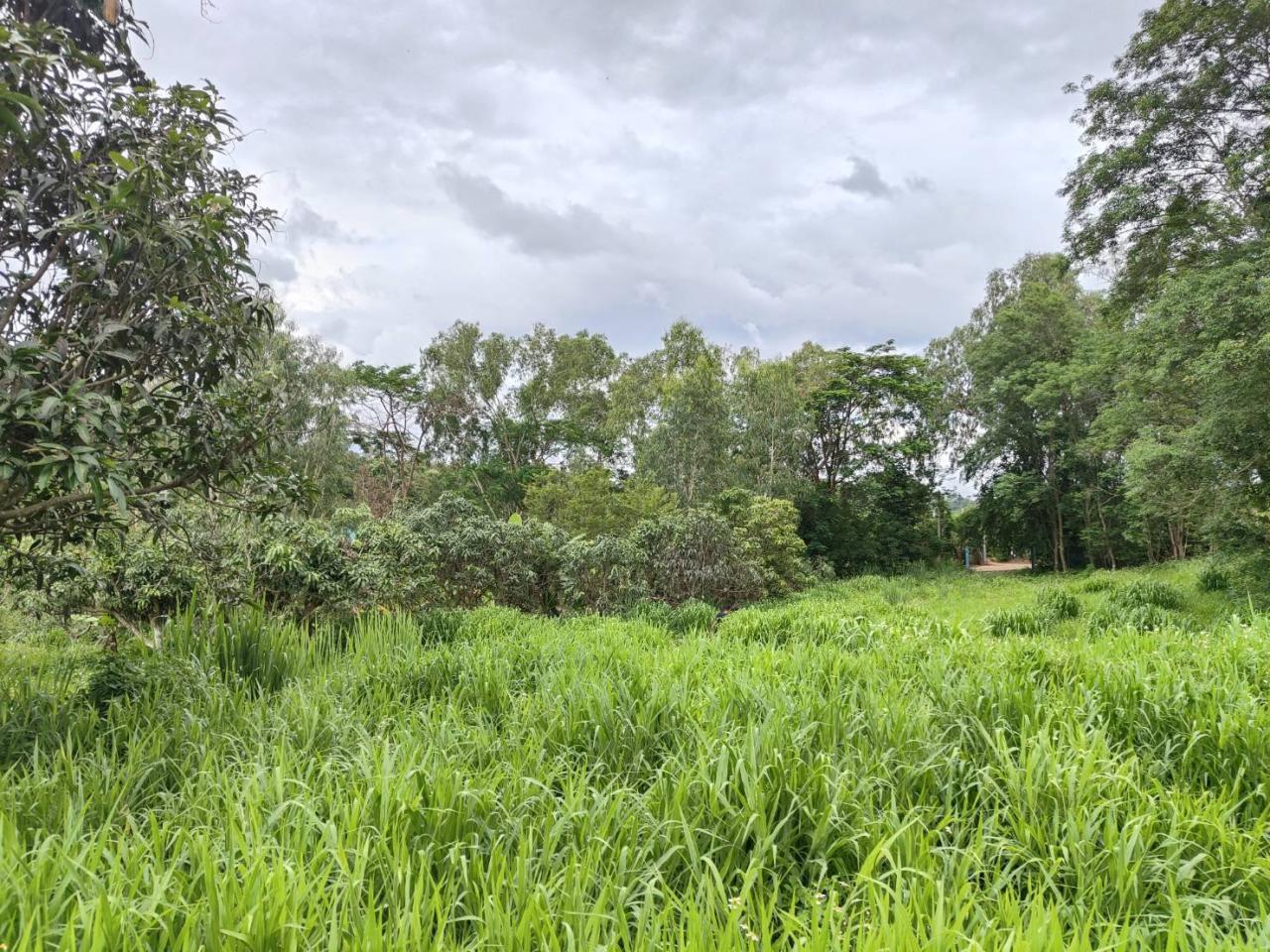 ภาพประกอบที่ 8