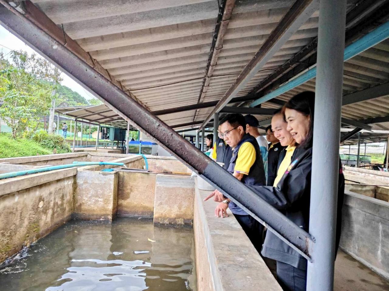 ภาพประกอบที่ 9