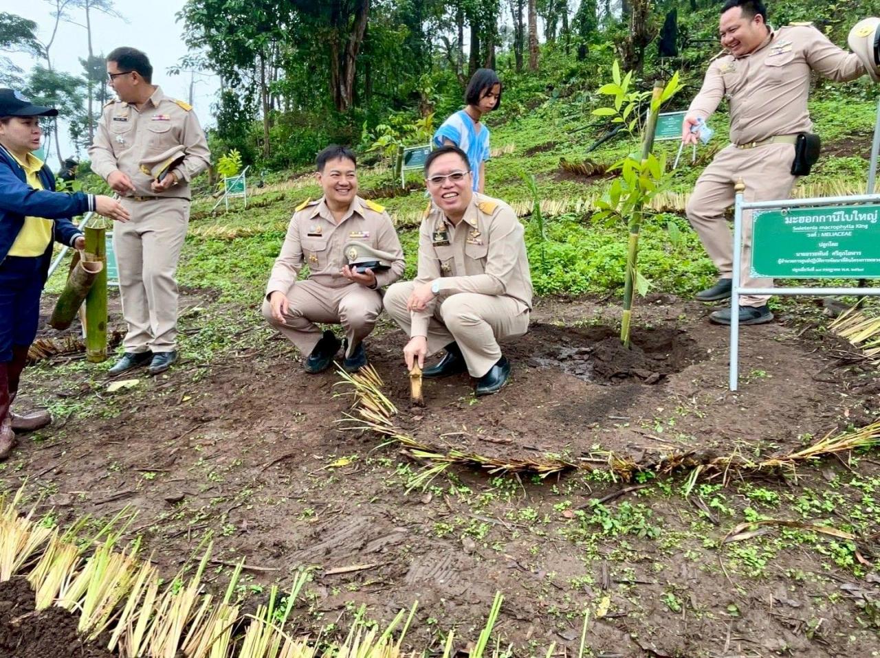 ภาพประกอบที่ 6