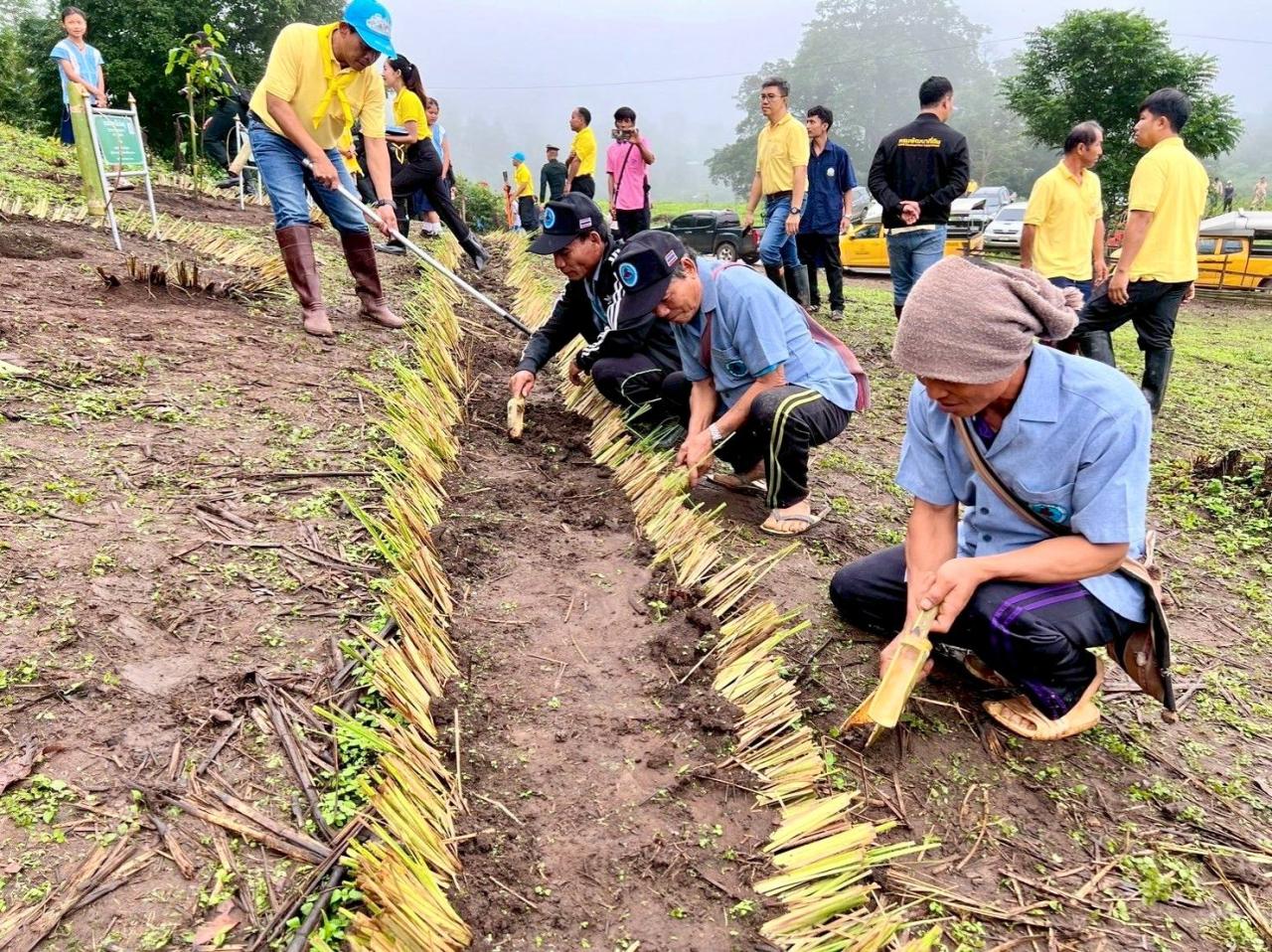 ภาพประกอบที่ 7