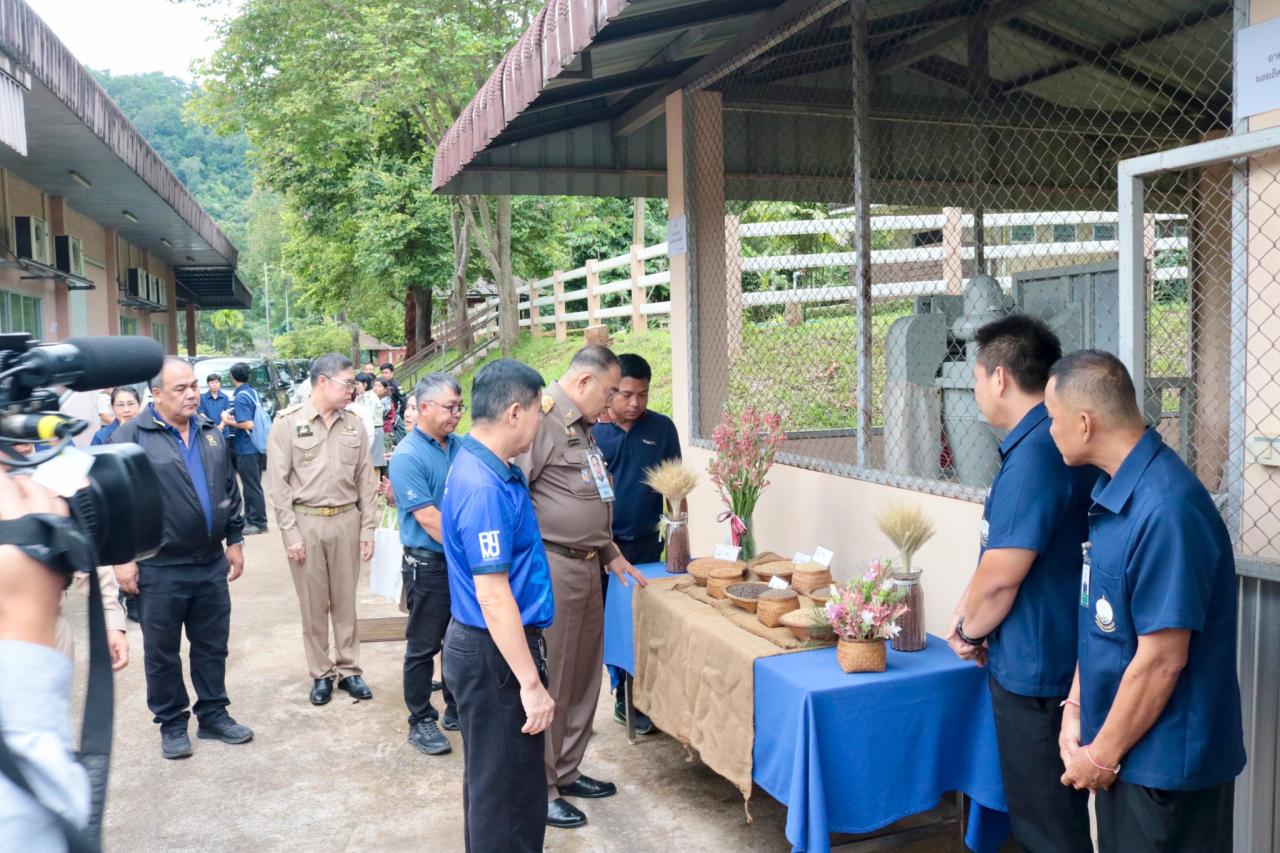 ภาพประกอบที่ 9