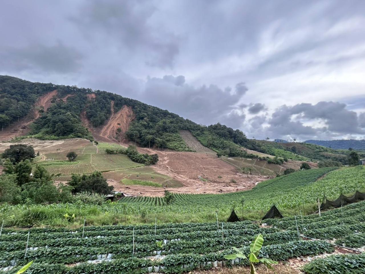 ภาพประกอบที่ 8