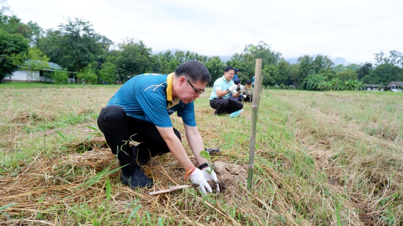 ภาพประกอบที่ 3