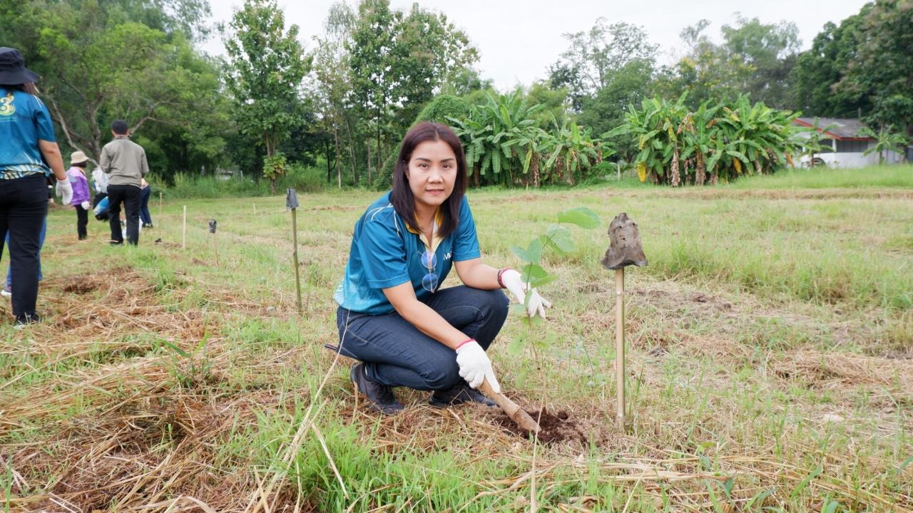 ภาพประกอบที่ 5