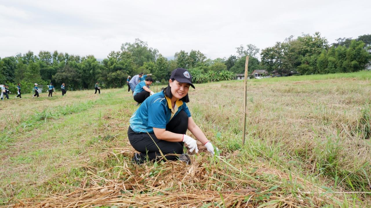 ภาพประกอบที่ 6