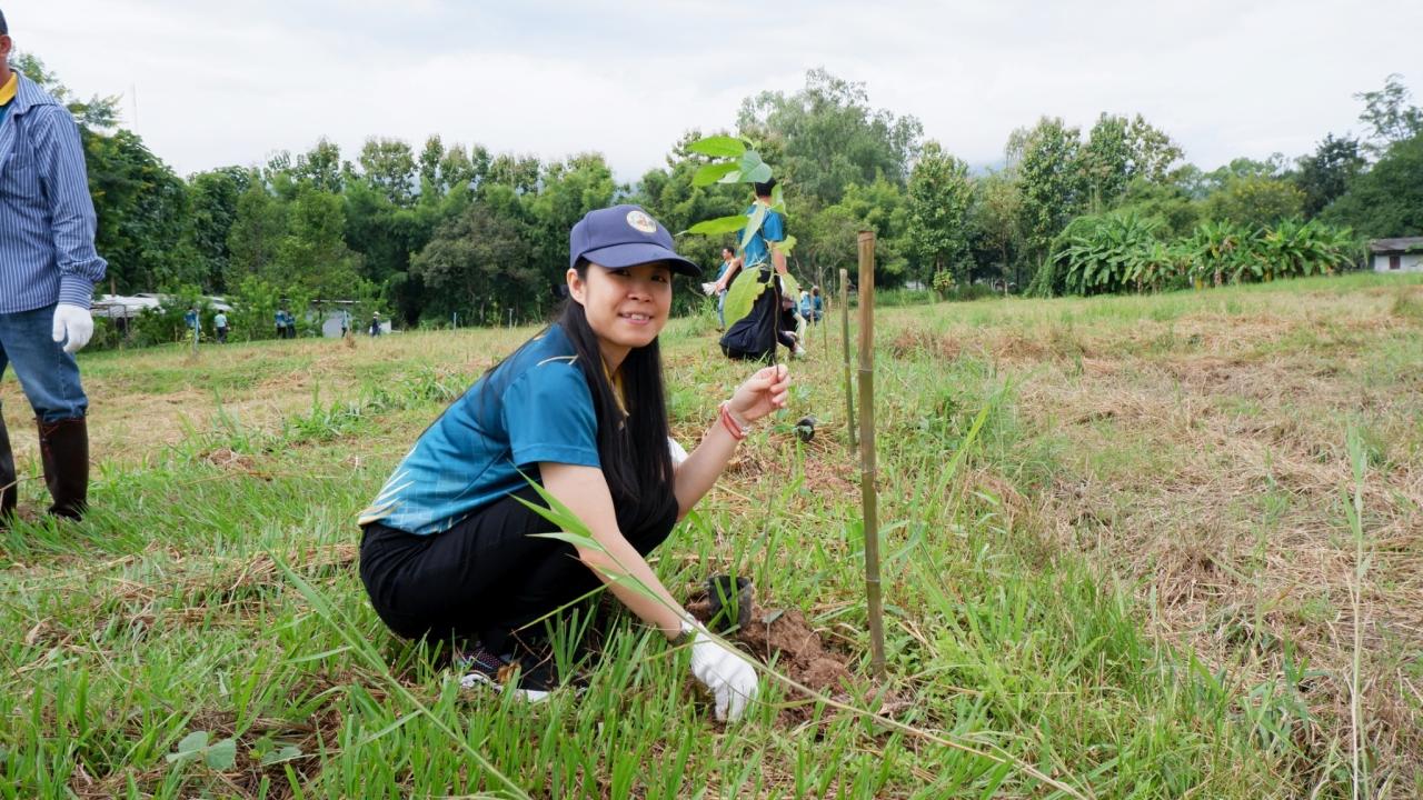 ภาพประกอบที่ 7