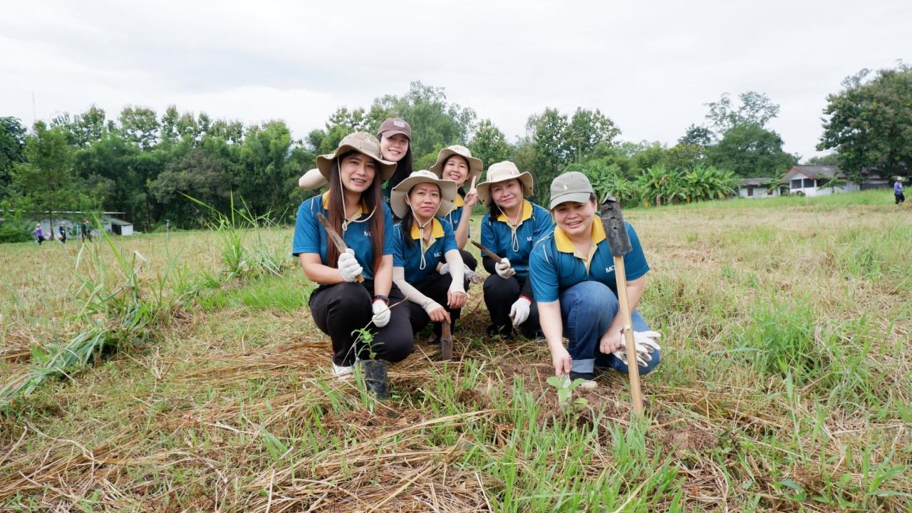 ภาพประกอบที่ 8