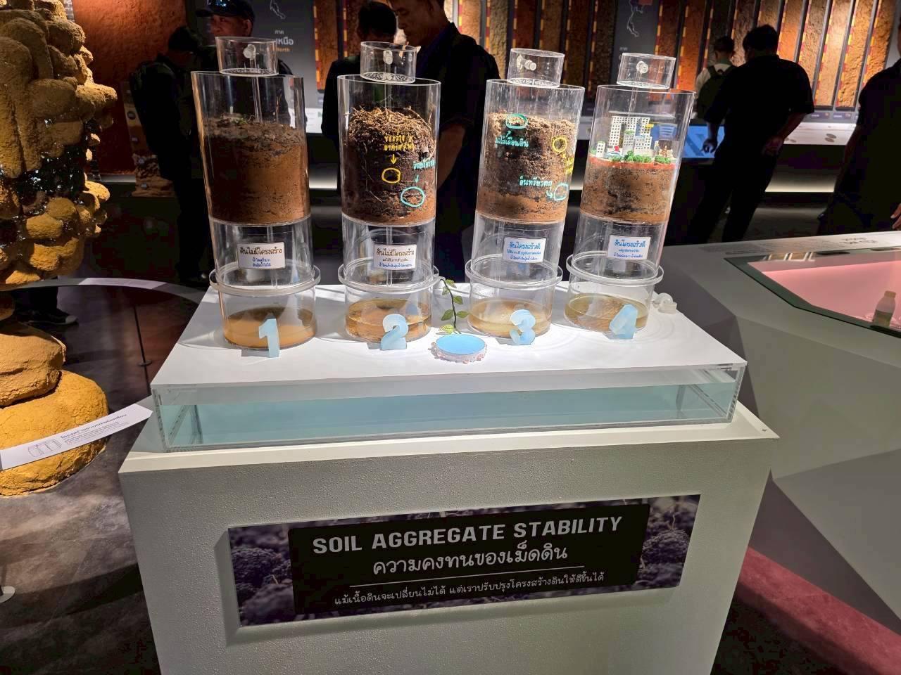 ภาพประกอบที่ 8