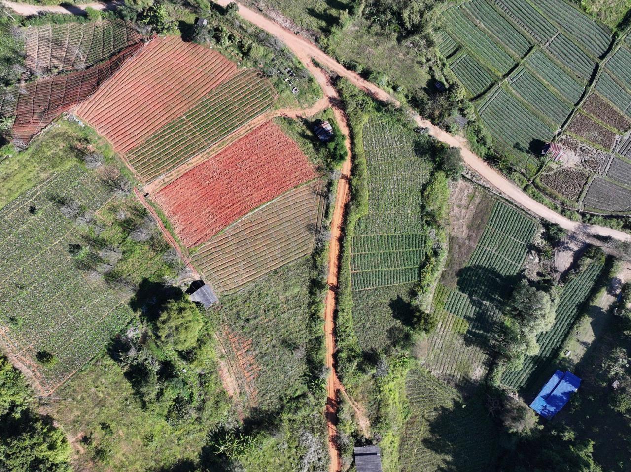 ภาพประกอบที่ 8