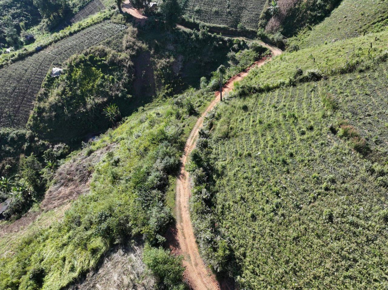 ภาพประกอบที่ 9