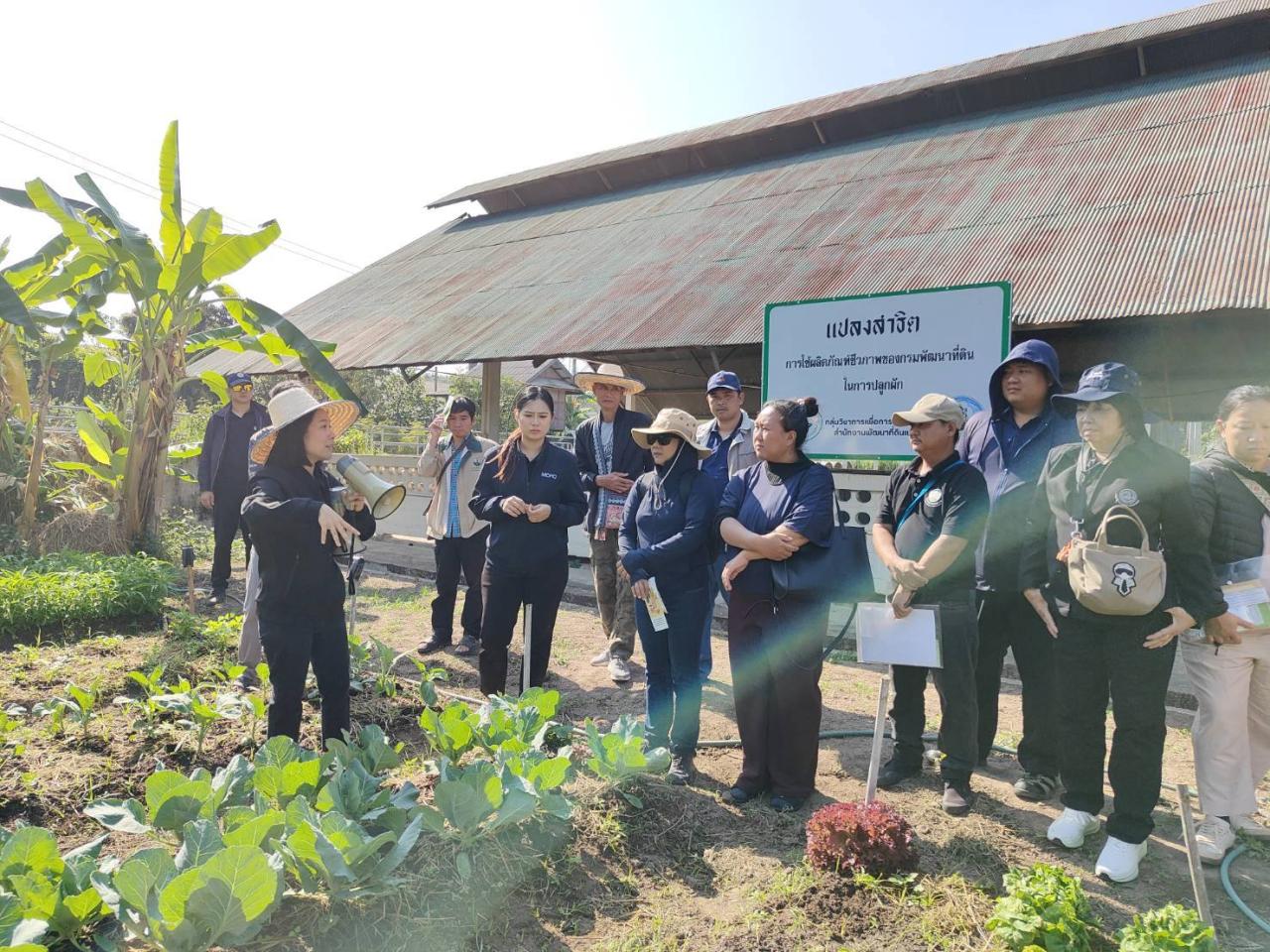 ภาพประกอบที่ 3