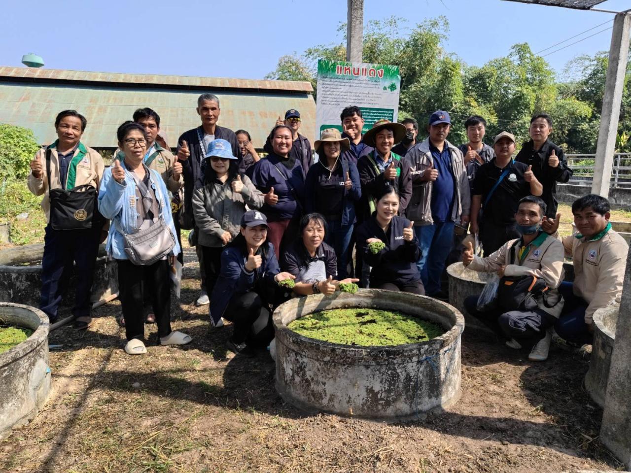 ภาพประกอบที่ 8