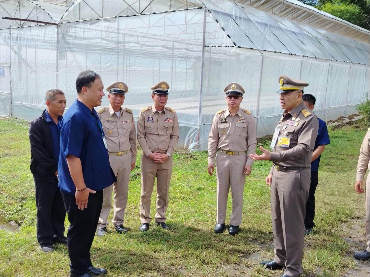 ภาพประกอบที่ 8