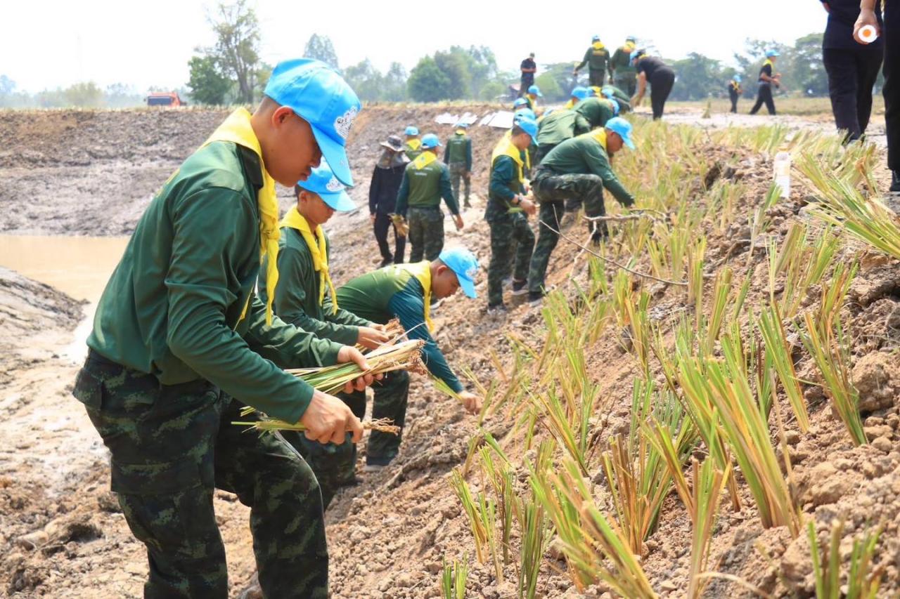 ภาพประกอบที่ 2