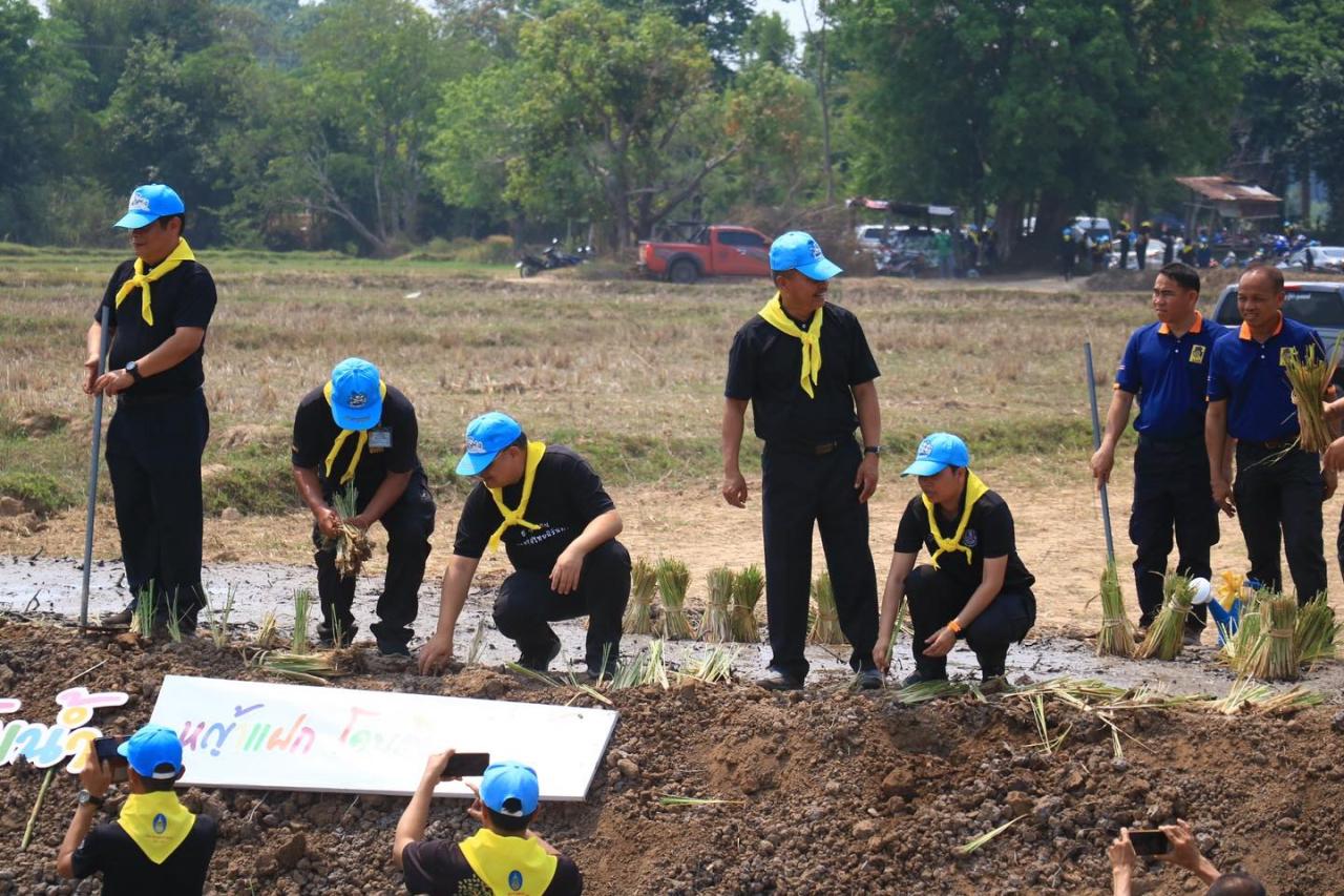 ภาพประกอบที่ 3