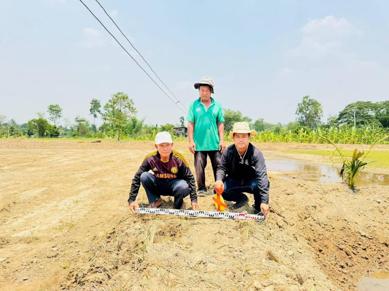 ภาพประกอบที่ 1