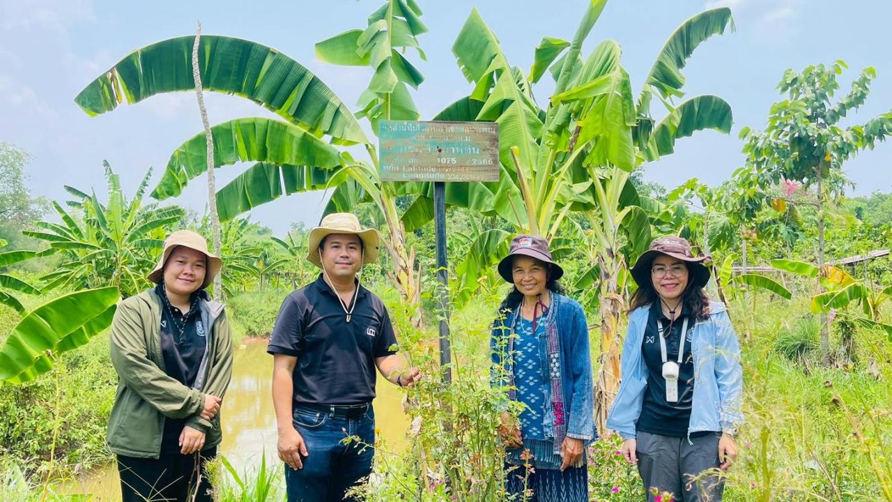 ภาพประกอบที่ 0