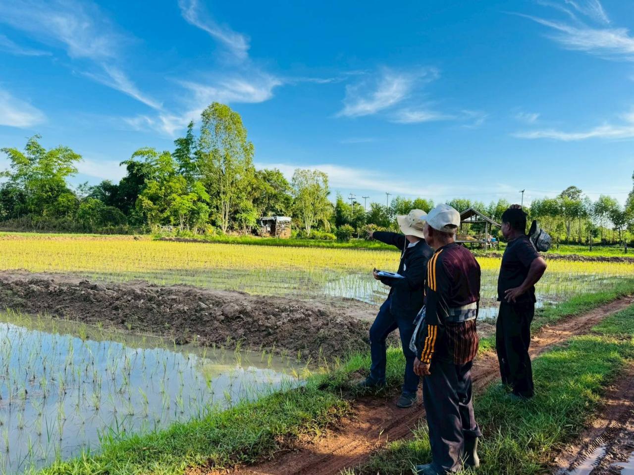 ภาพประกอบที่ 2