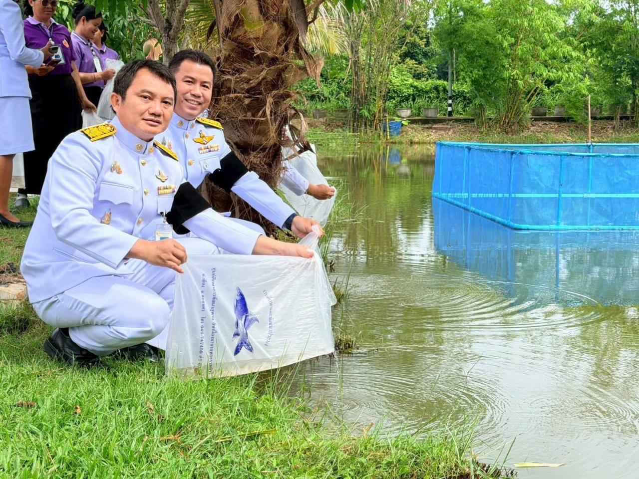 ภาพประกอบที่ 1