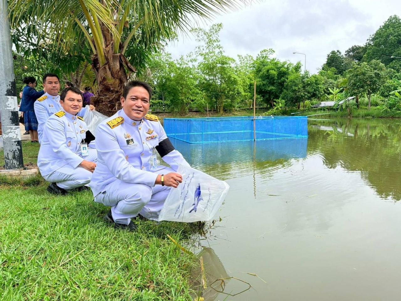 ภาพประกอบที่ 2