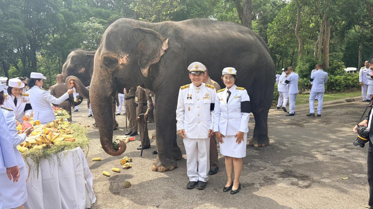 ภาพประกอบที่ 0