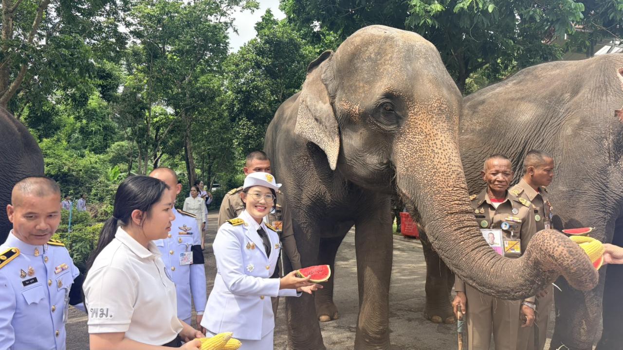 ภาพประกอบที่ 1