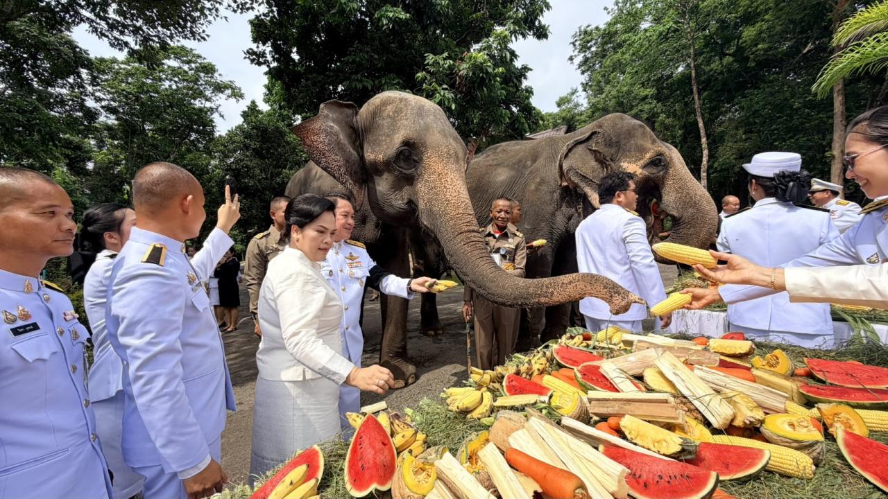 ภาพประกอบที่ 2