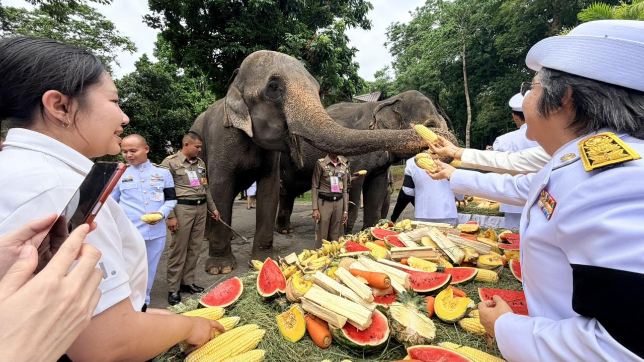 ภาพประกอบที่ 3