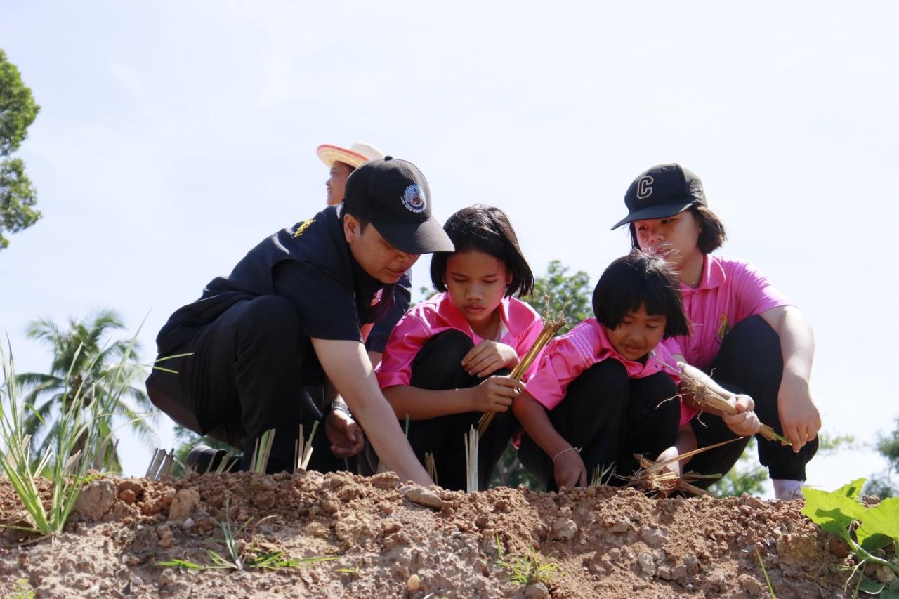 ภาพประกอบที่ 0