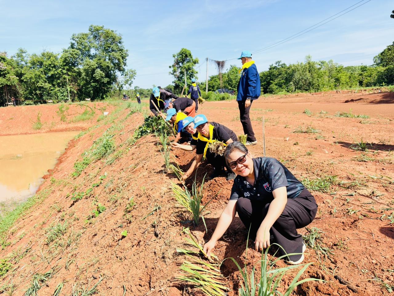 ภาพประกอบที่ 29