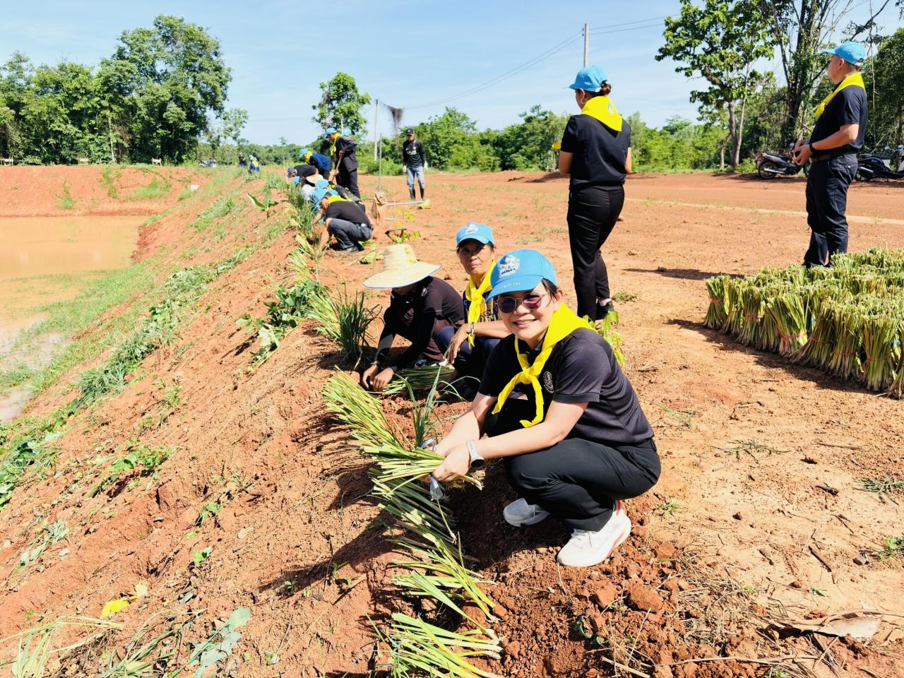 ภาพประกอบที่ 14