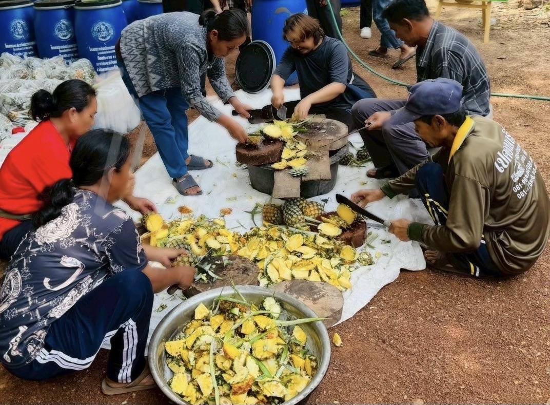 ภาพประกอบที่ 1