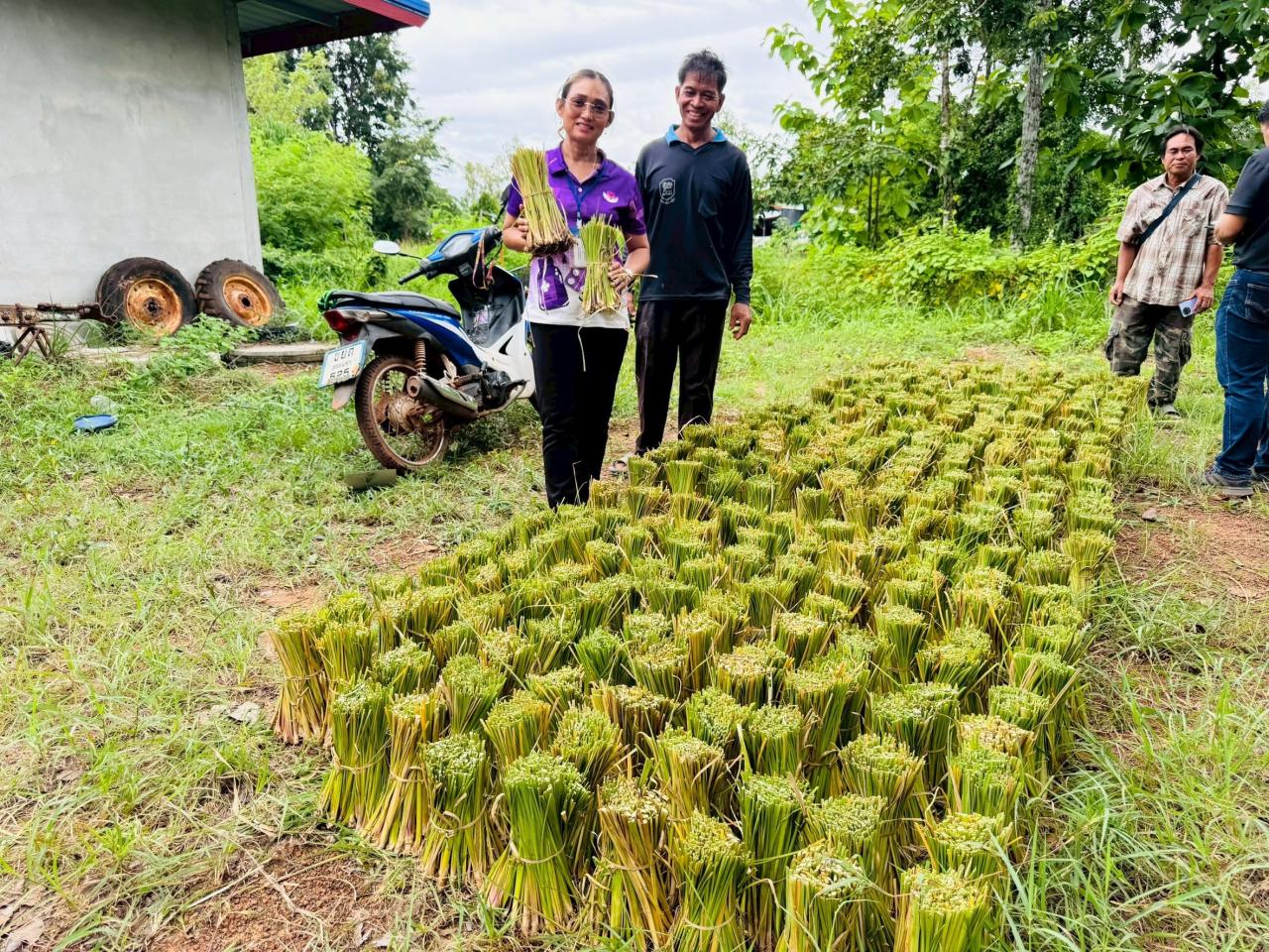 ภาพประกอบที่ 7