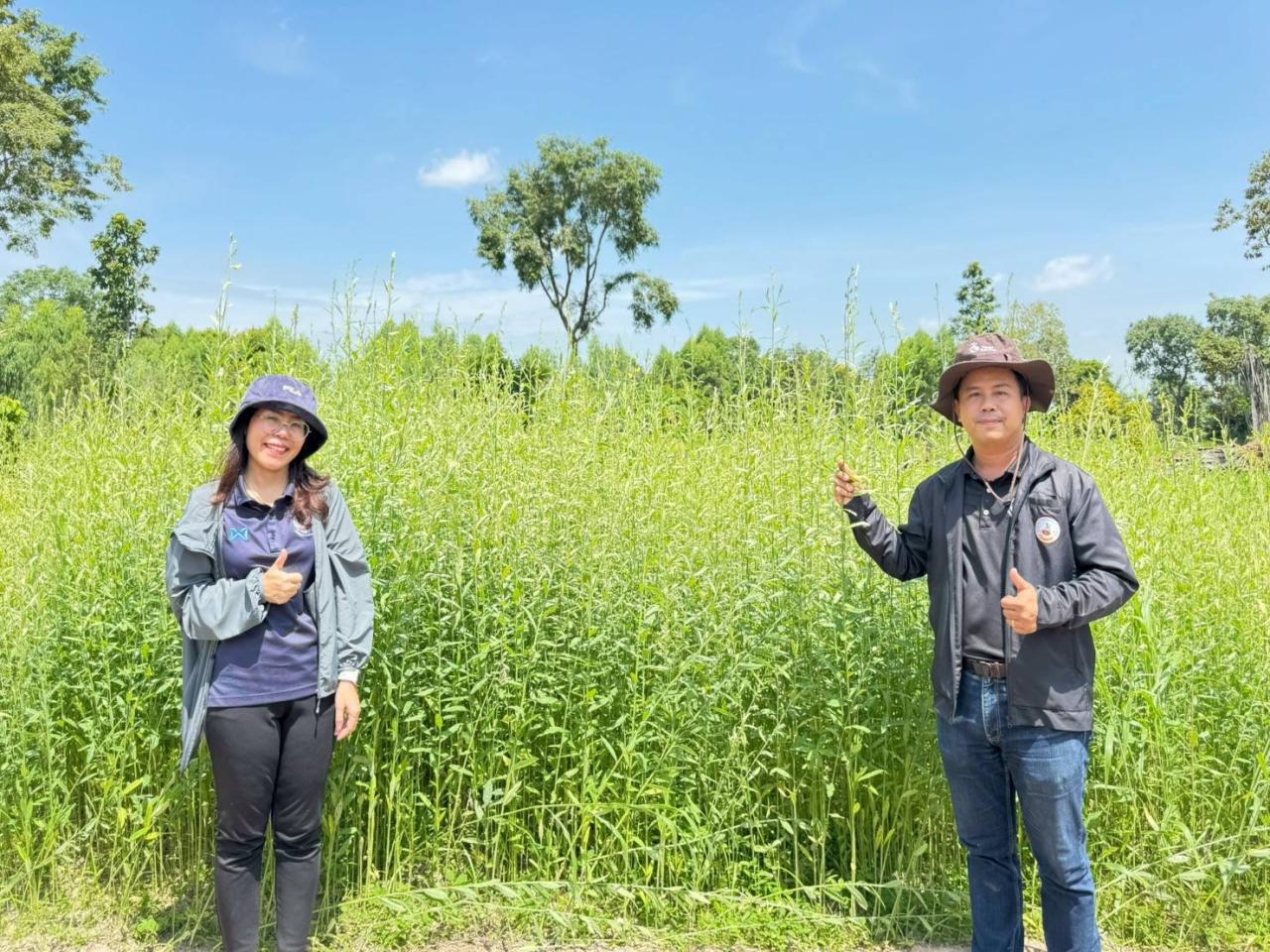 ภาพประกอบที่ 14