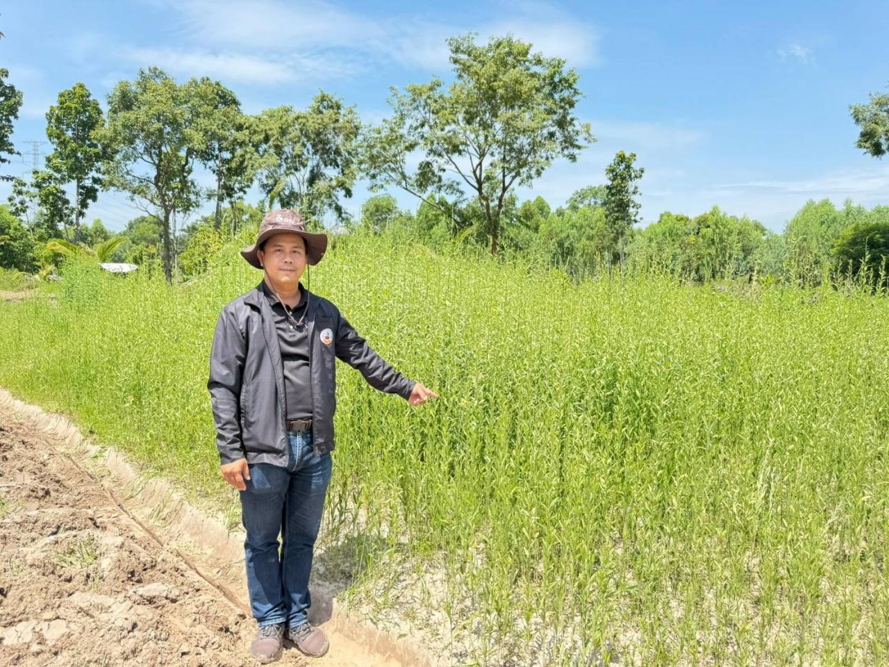 ภาพประกอบที่ 18