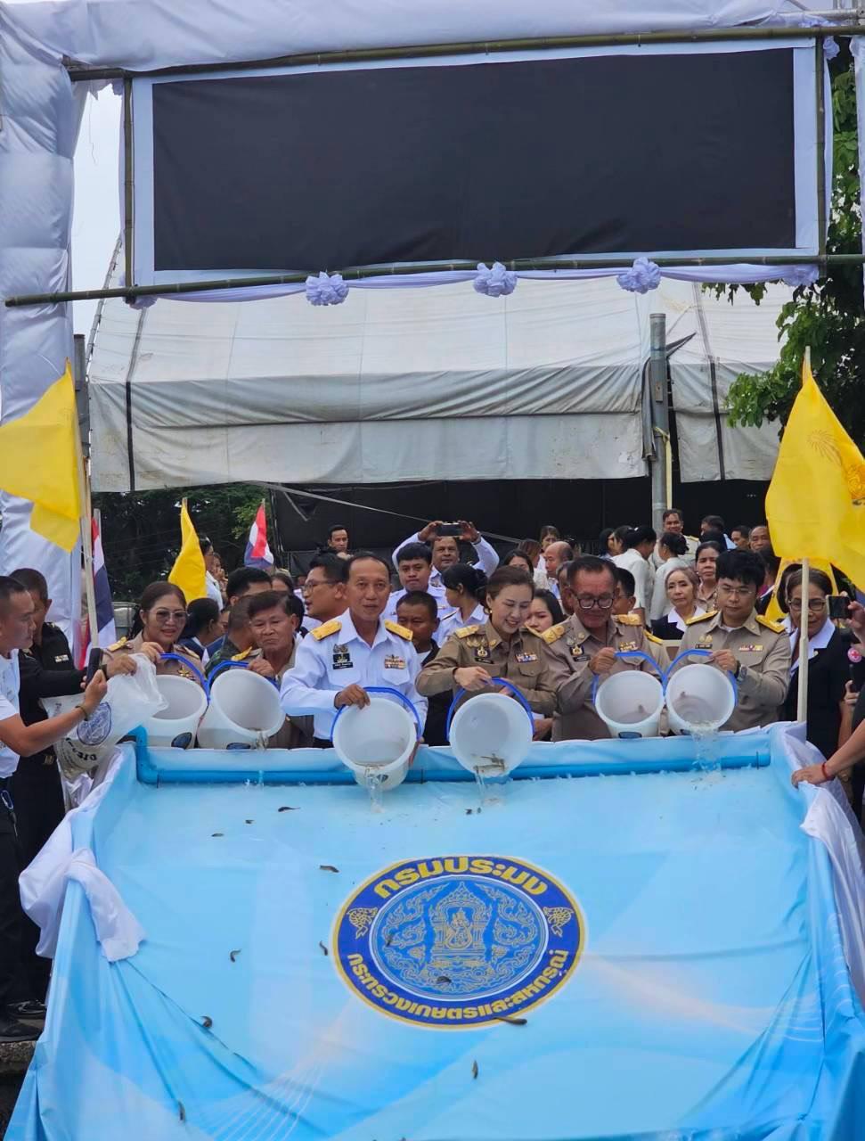 ภาพประกอบที่ 3