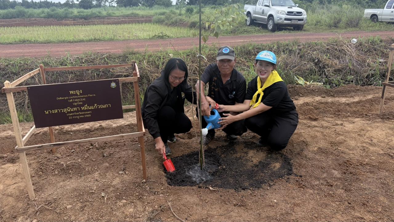 ภาพประกอบที่ 3