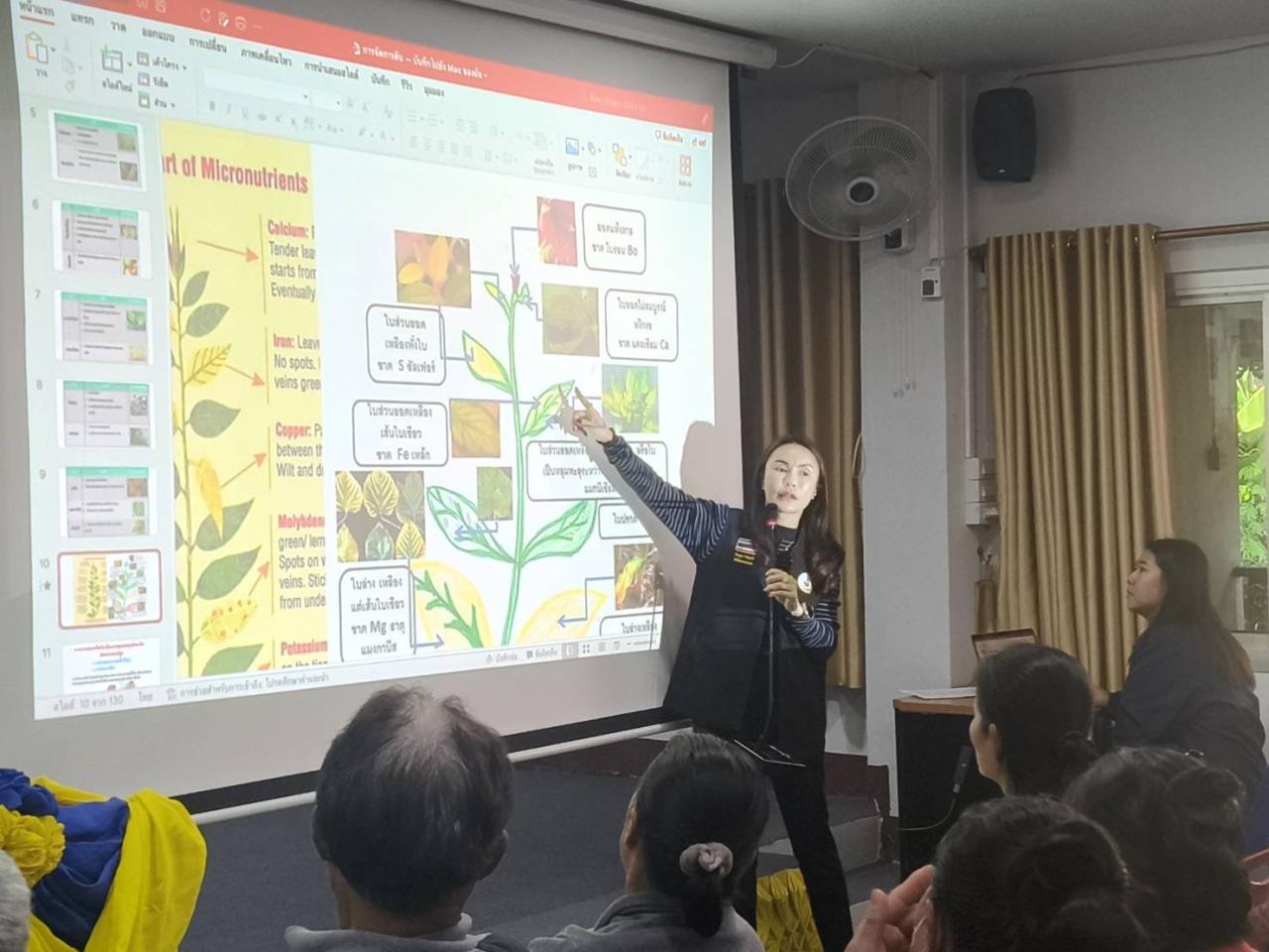 ภาพประกอบที่ 7