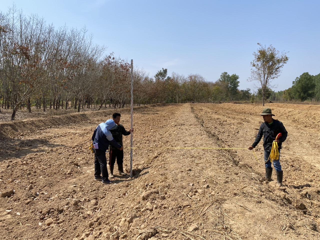 ภาพประกอบที่ 7