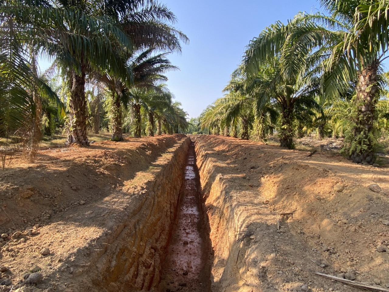 ภาพประกอบที่ 10