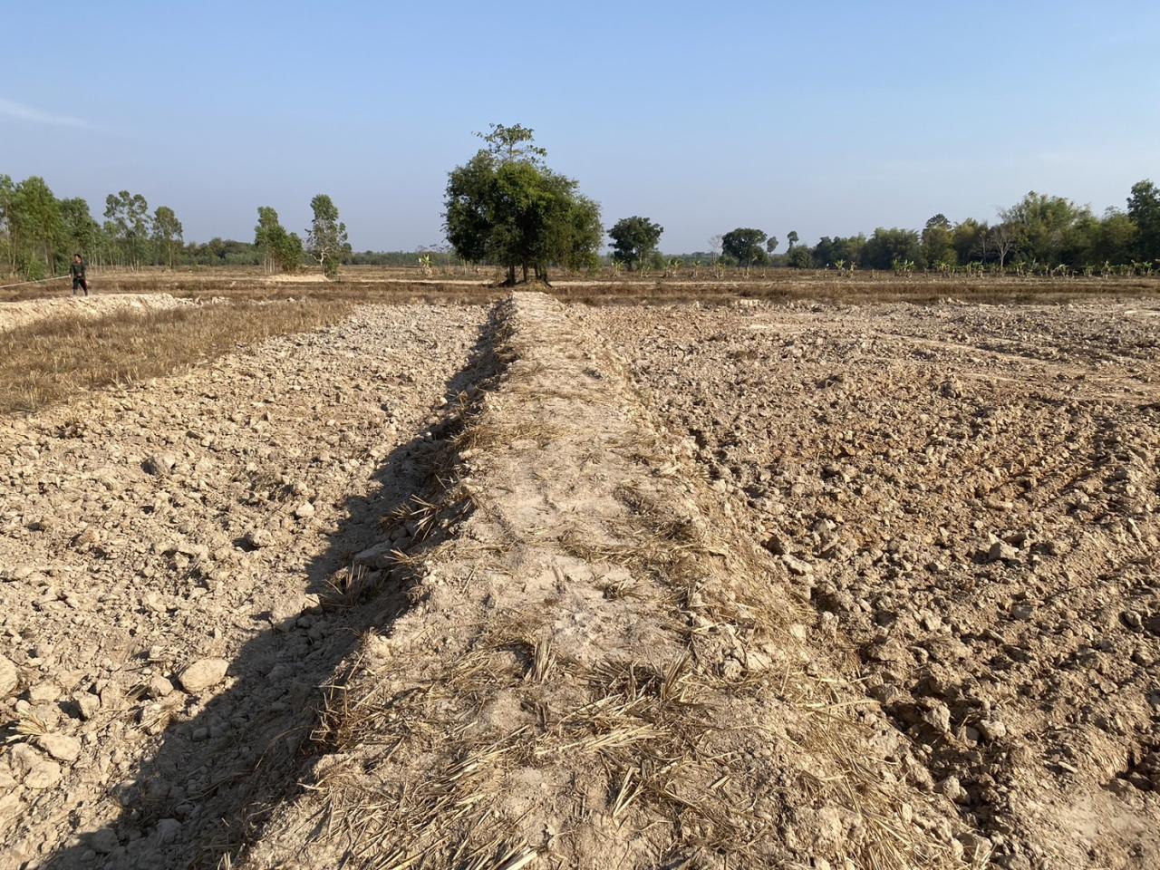 ภาพประกอบที่ 11