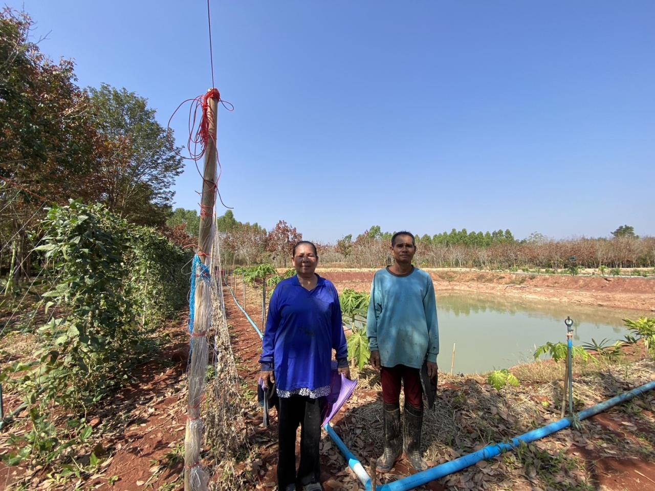 ภาพประกอบที่ 4