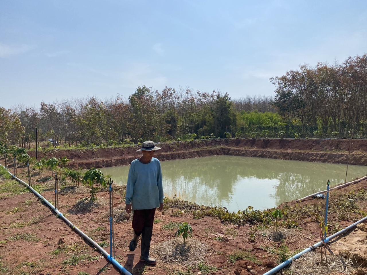 ภาพประกอบที่ 7