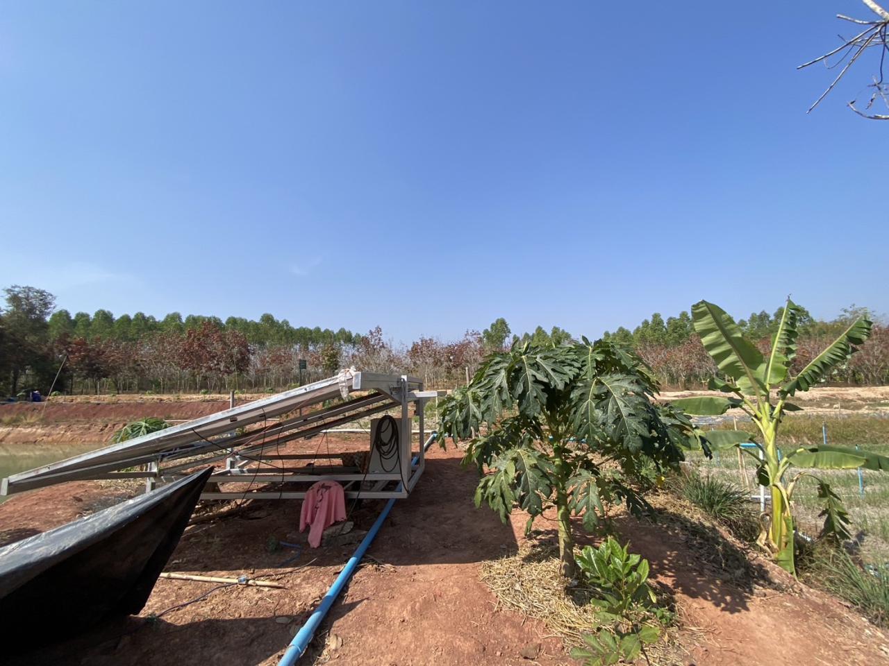 ภาพประกอบที่ 8