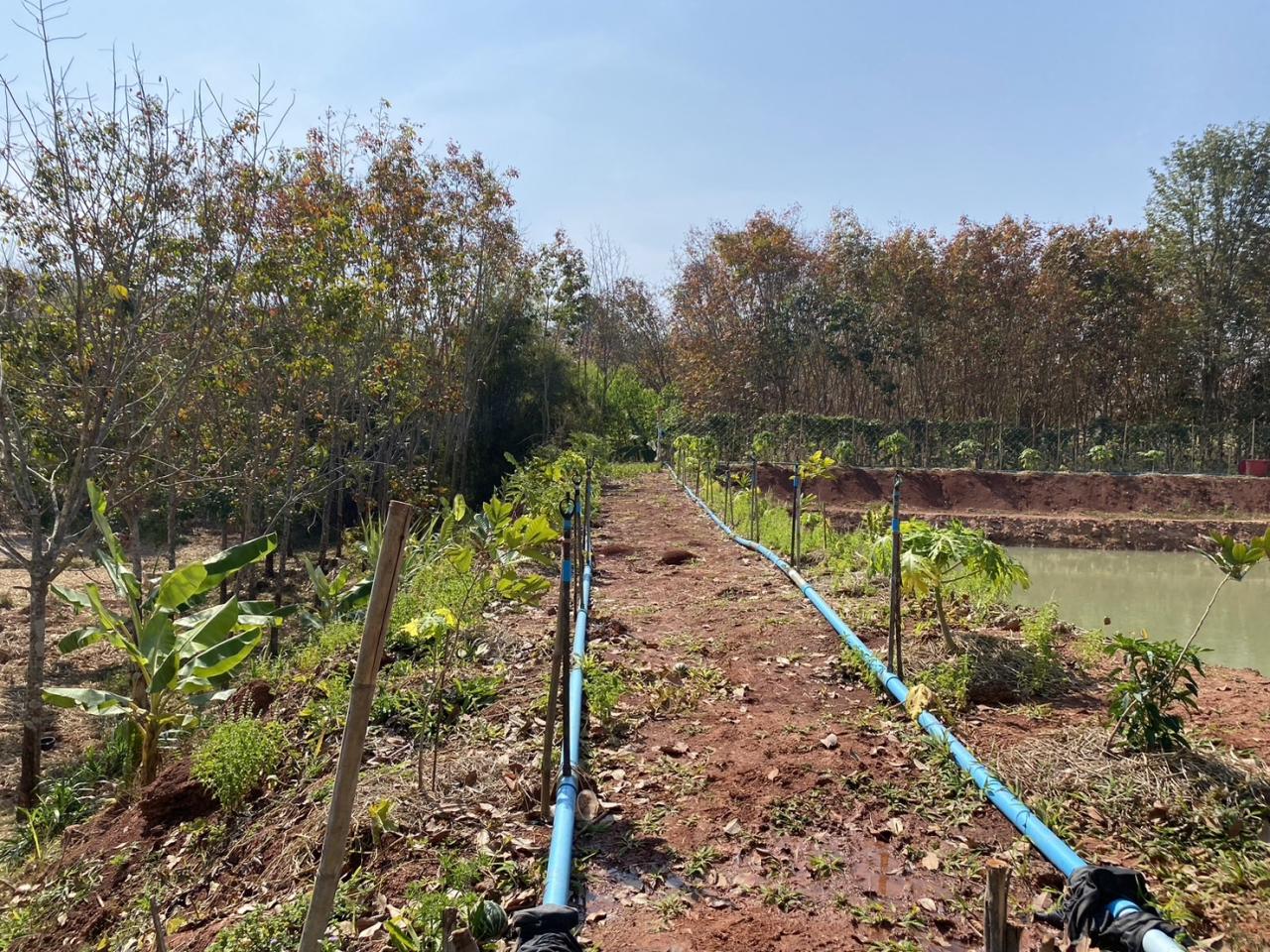 ภาพประกอบที่ 10